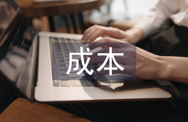 成本控制策略
