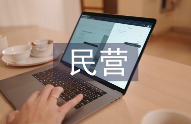 民營(yíng)企業(yè)集團(tuán)資金管理模式探析