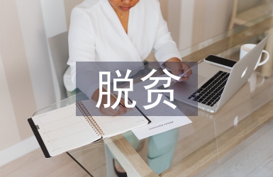 脫貧攻堅整改方案