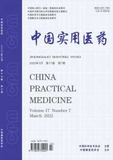 中國(guó)實(shí)用醫(yī)藥期刊