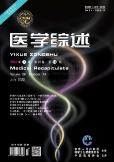 醫學綜述期刊