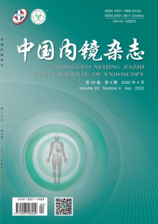 中國(guó)內(nèi)鏡期刊